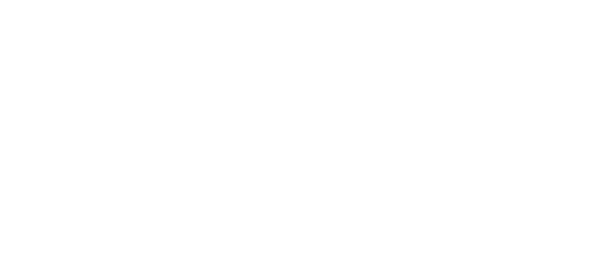 The China Story