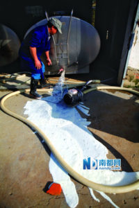 Chinese dairy farmers are facing difficult times; some are even dumping milk as they can’t sell it Photo: xianghunet.com