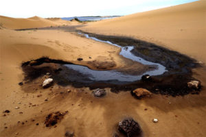 7 May 2015: the Ming Sheng Dyeing Company was fined five million yuan for breaching the environmental law Photo: Xinhua